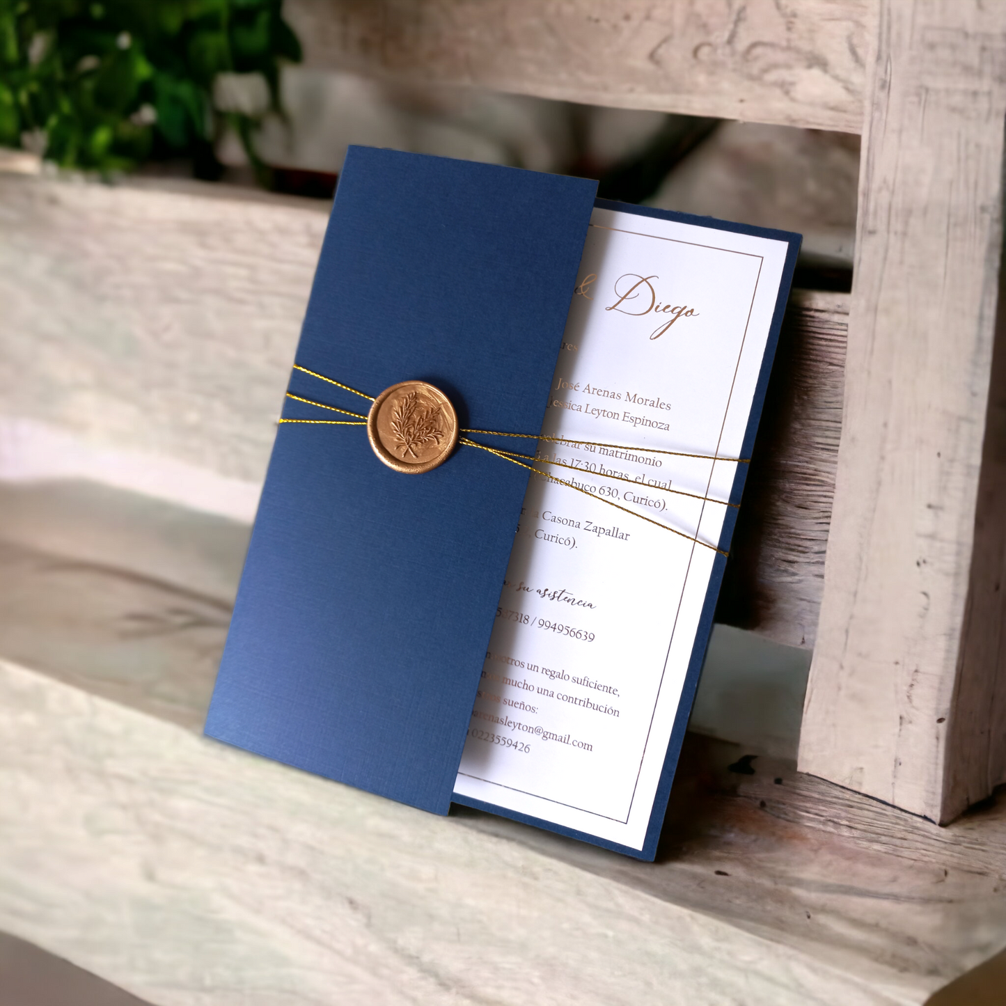 DISEÑO BREZZA (cód.005)