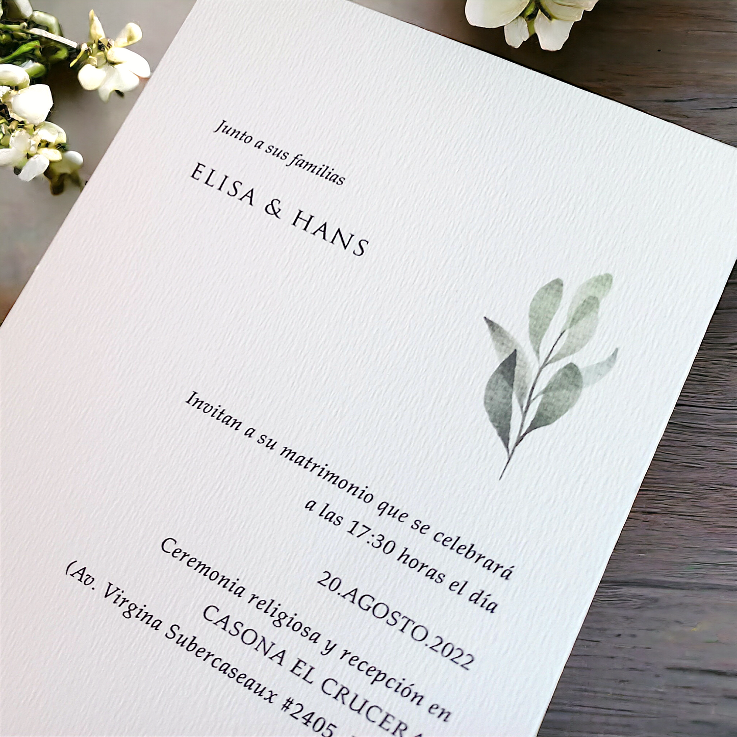 DISEÑO ALBA (cód.009)