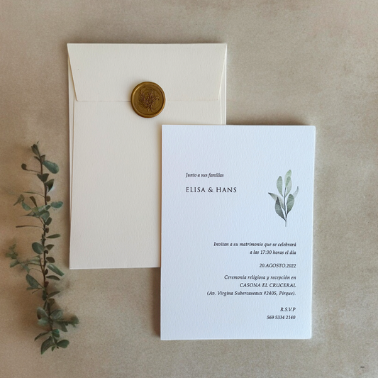 DISEÑO ALBA (cód.009)