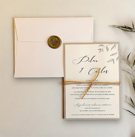 DISEÑO FICO (cód.507)