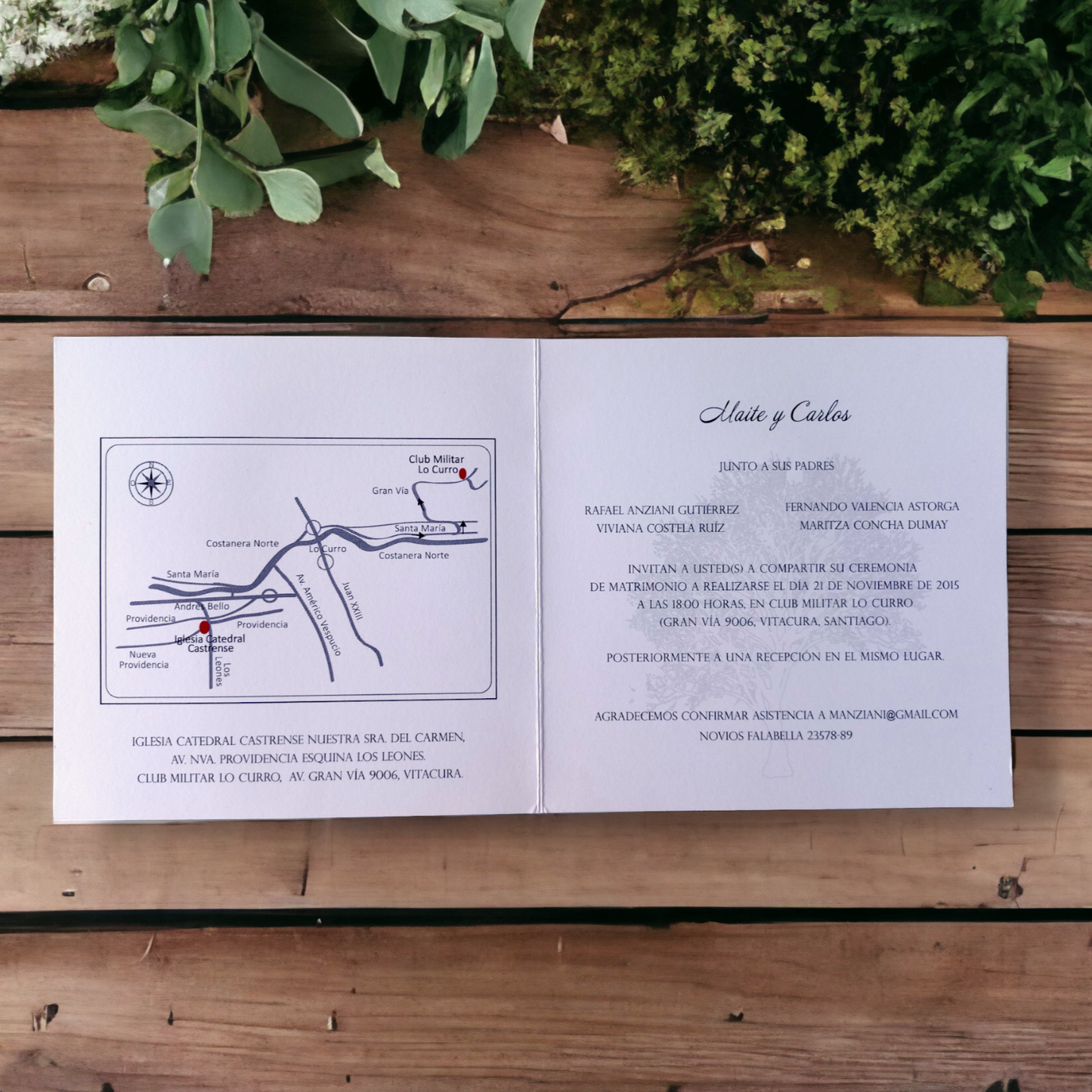 DISEÑO ALBERO (cód.019)