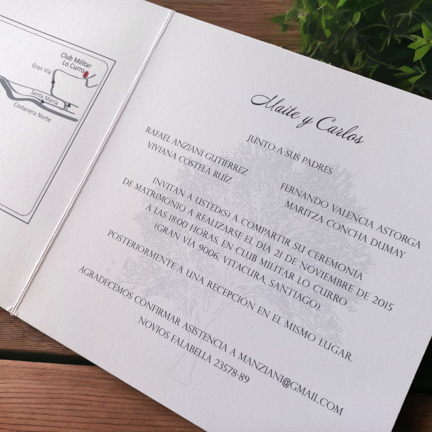 DISEÑO ALBERO (cód.019)