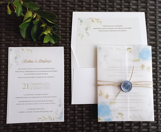 DISEÑO VIOLETTA (cód.600)