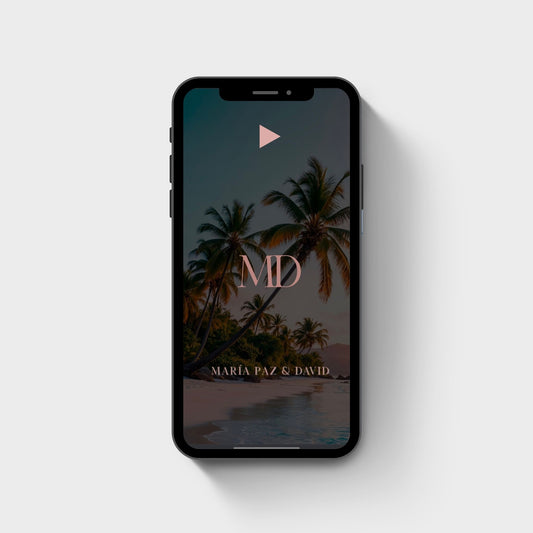 Invitación Digital Website cód. W-102