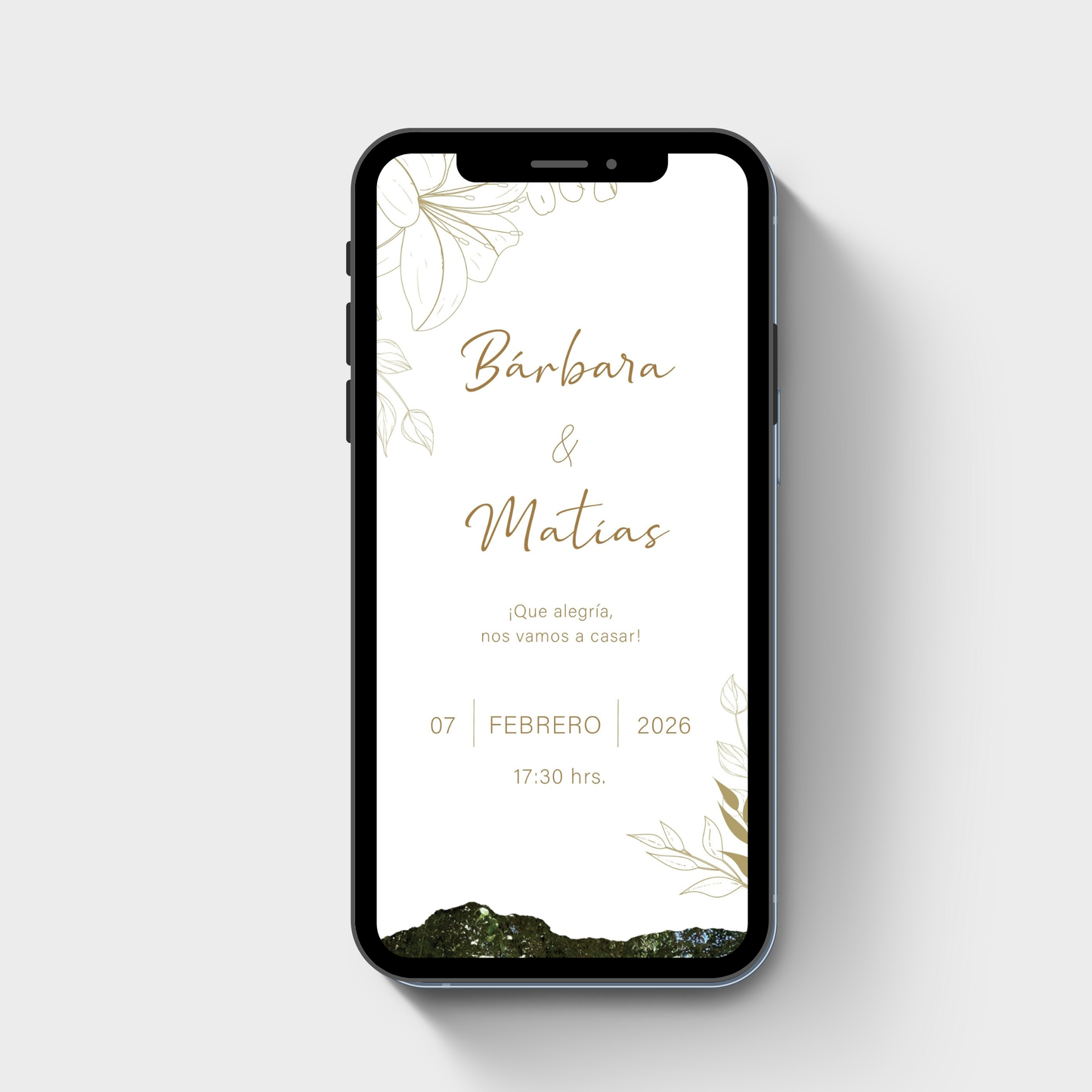 Invitación Digital Plus DY122