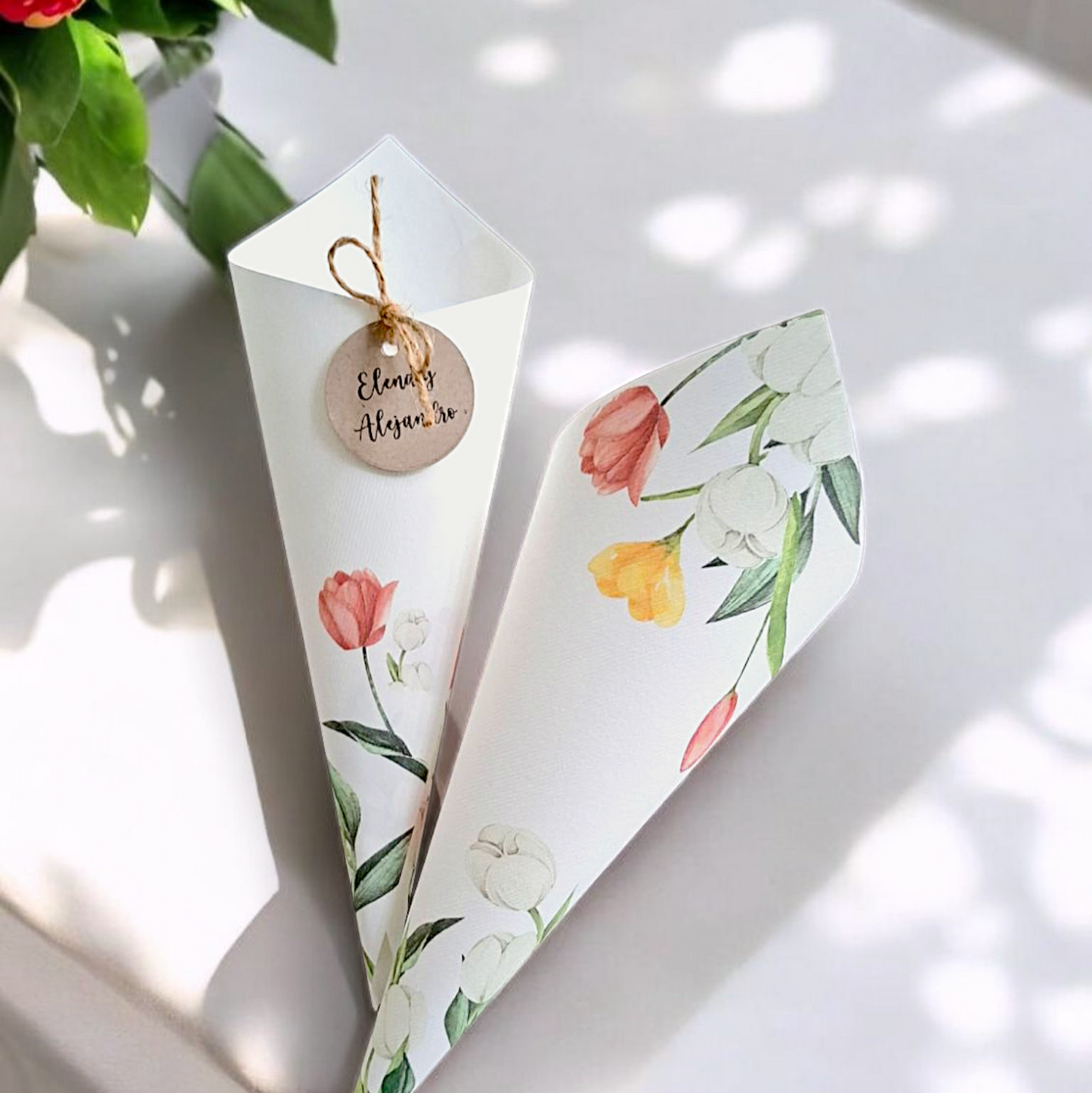 Conos para pétalos (cód.P04)